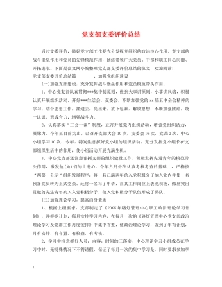 党支部支委评价总结 
