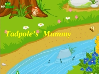 英语讲故事课件“小蝌蚪找妈妈”配乐PPT