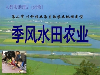 季风水田农业