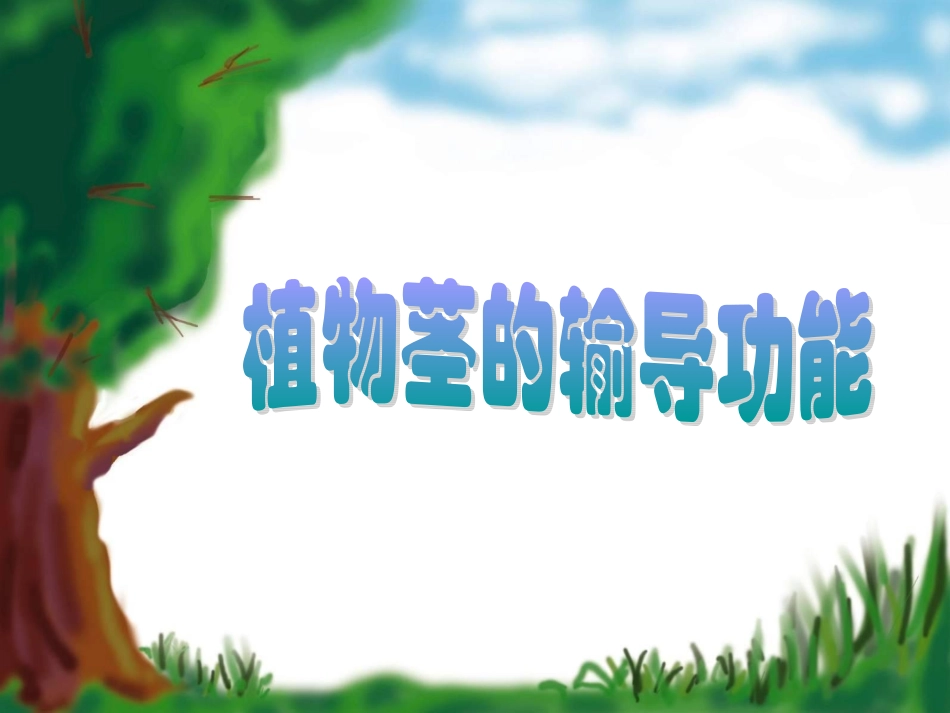茎的输导功能1_第1页
