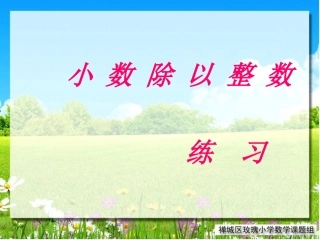 小数除以整数练习111