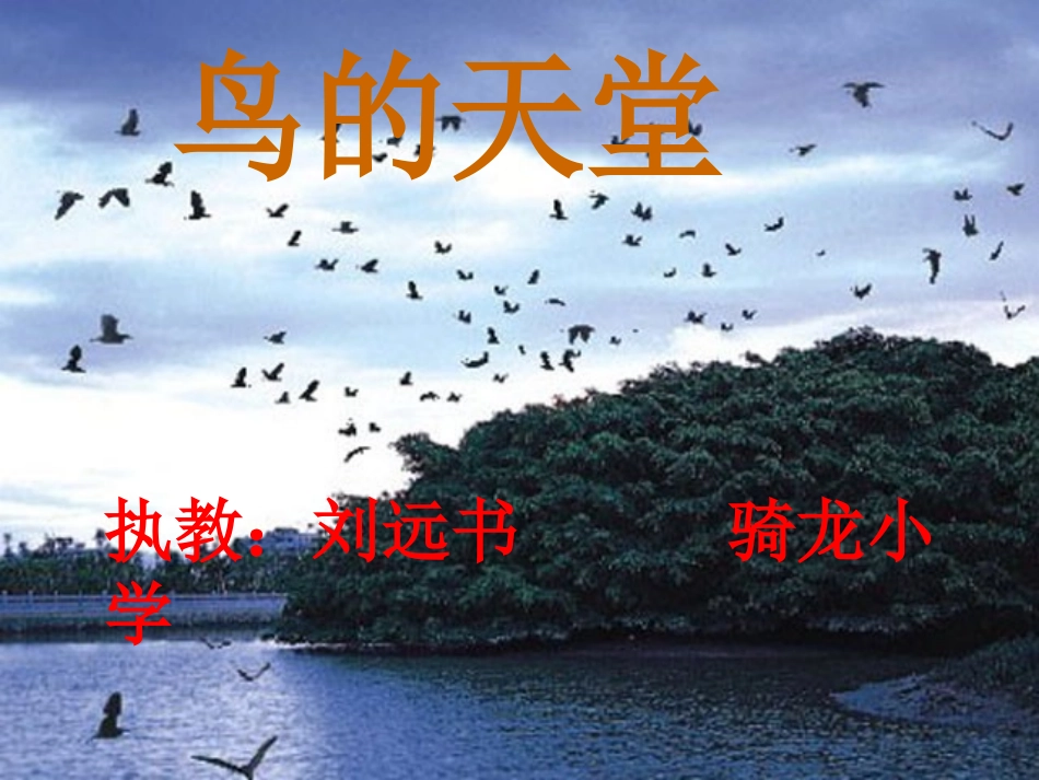 《鸟的天堂》课件刘远书_第1页