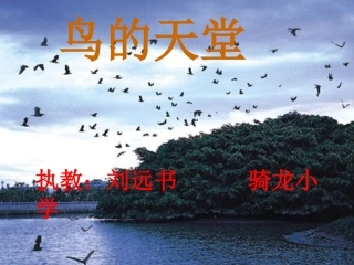 《鸟的天堂》课件刘远书