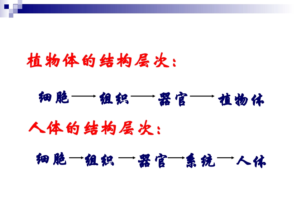 人教版七上第二章第四节+单细胞生物（共34张PPT）_第1页