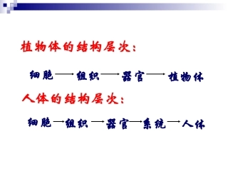人教版七上第二章第四节+单细胞生物（共34张PPT）