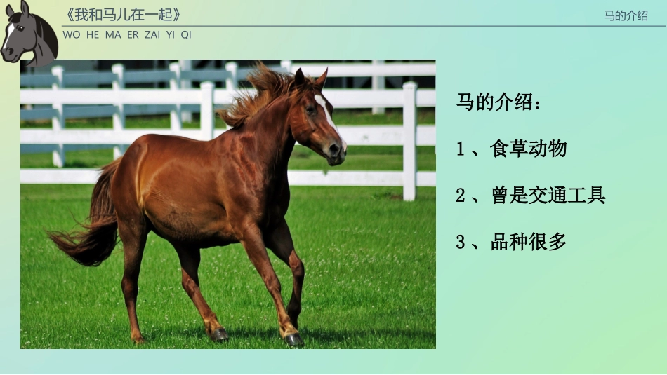 《我和马儿在一起》_第3页
