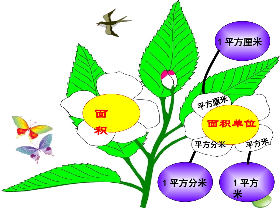 正方形面积计算课件_第2页