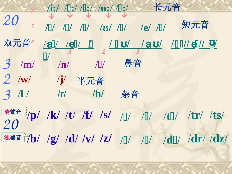 音标集中教学_第2页
