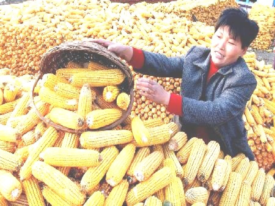 人教版二年级上册语文1、秋天的图画_第1页