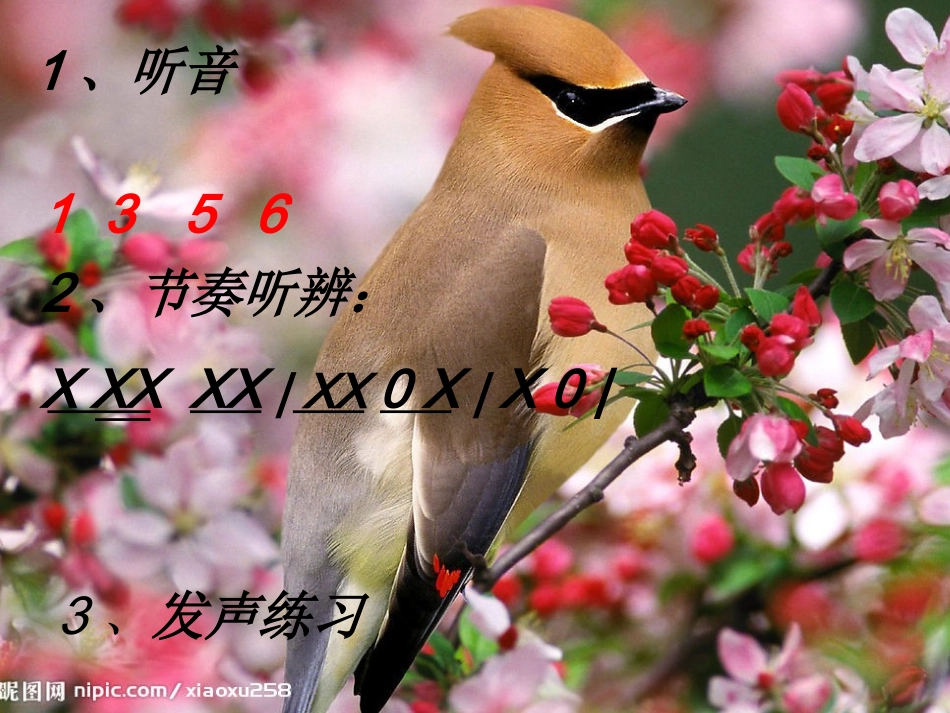 《春天举行音乐会》课件_第2页