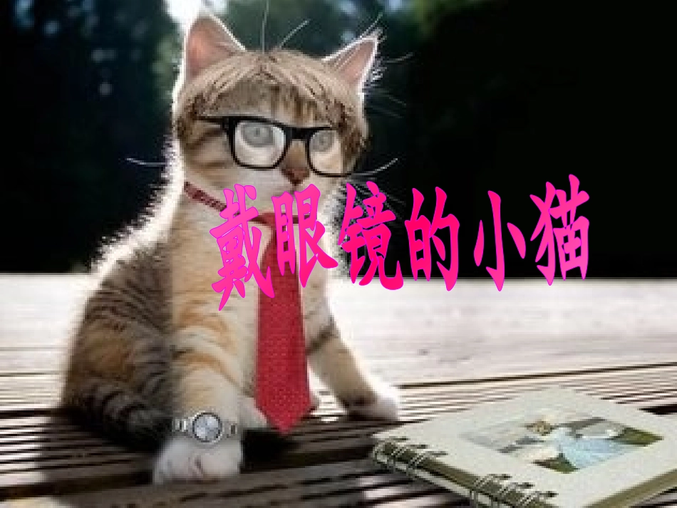 戴眼镜的小猫PPT_第1页
