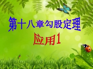 勾股定理第二课时