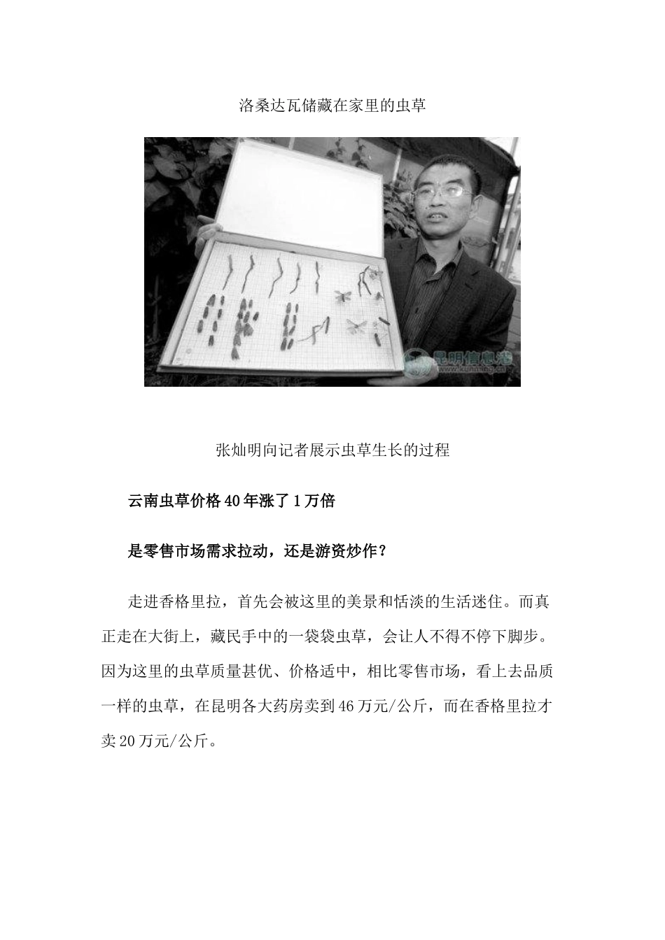 云南虫草价格40年涨1万倍每公斤最高卖46万（多图）_第3页