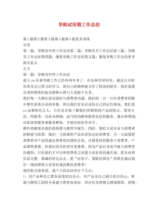 导购试用期工作总结 