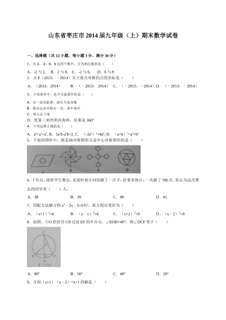 山东省枣庄市2014届九年级（上）期末数学试卷