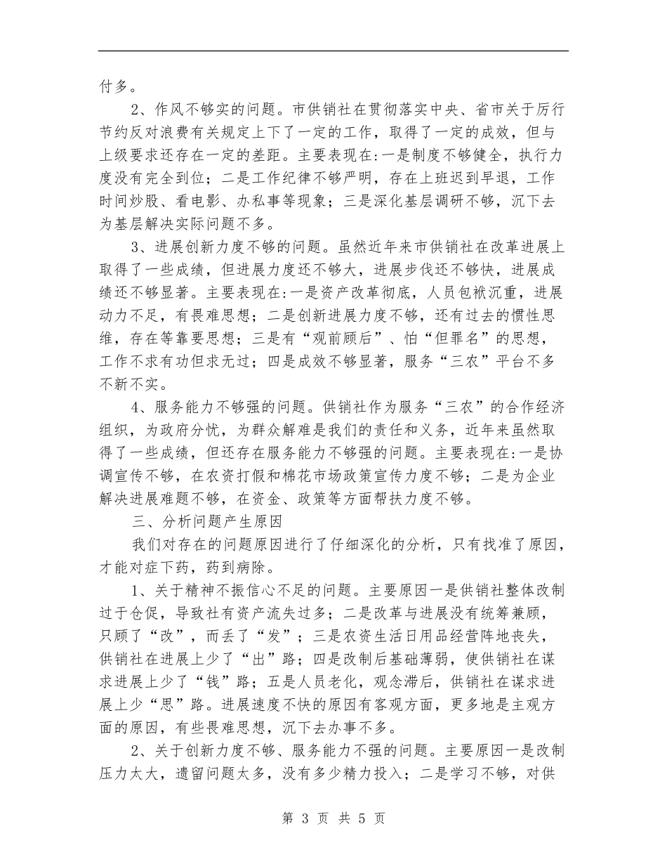 “百日整治”行动自查报告_第3页