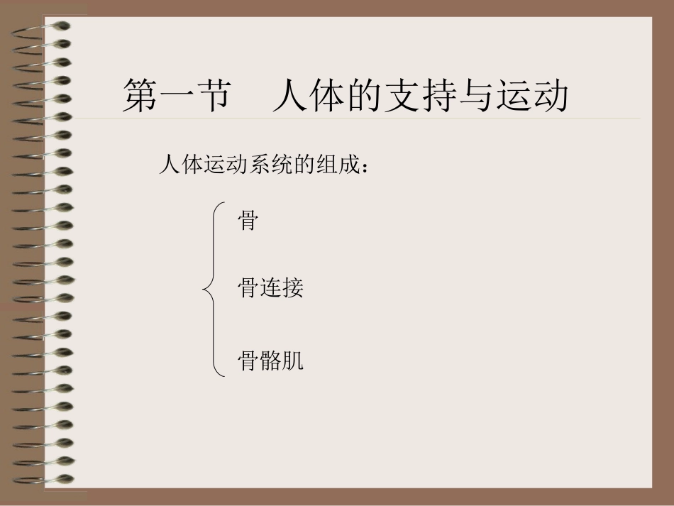 《人体的运动与支持》演示文稿_第1页