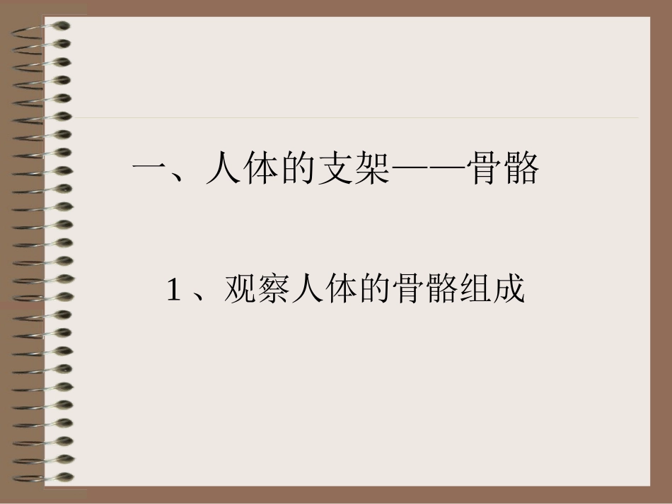 《人体的运动与支持》演示文稿_第2页
