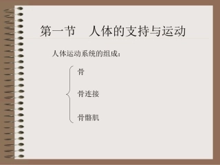 《人体的运动与支持》演示文稿