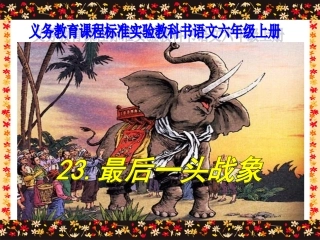《最后一头战象》课件