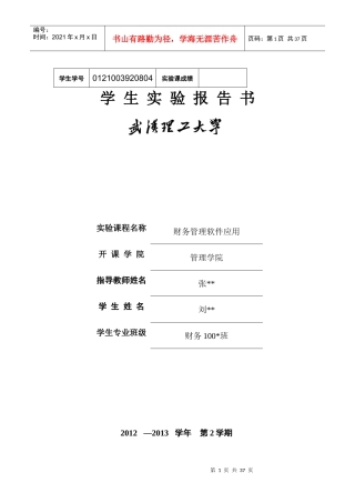 财务管理软件应用
