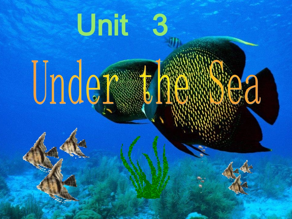 选修七unit3warmingup,reading_第1页