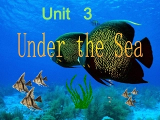 选修七unit3warmingup,reading