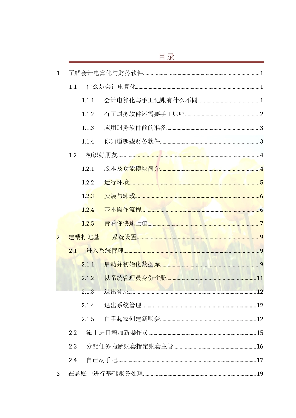 会计电算化节节高升(doc 50页)_第1页