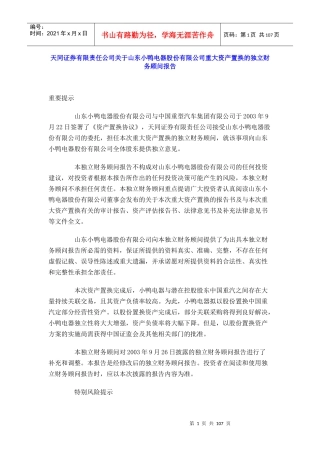 某电器公司重大资产独立财务顾问报告