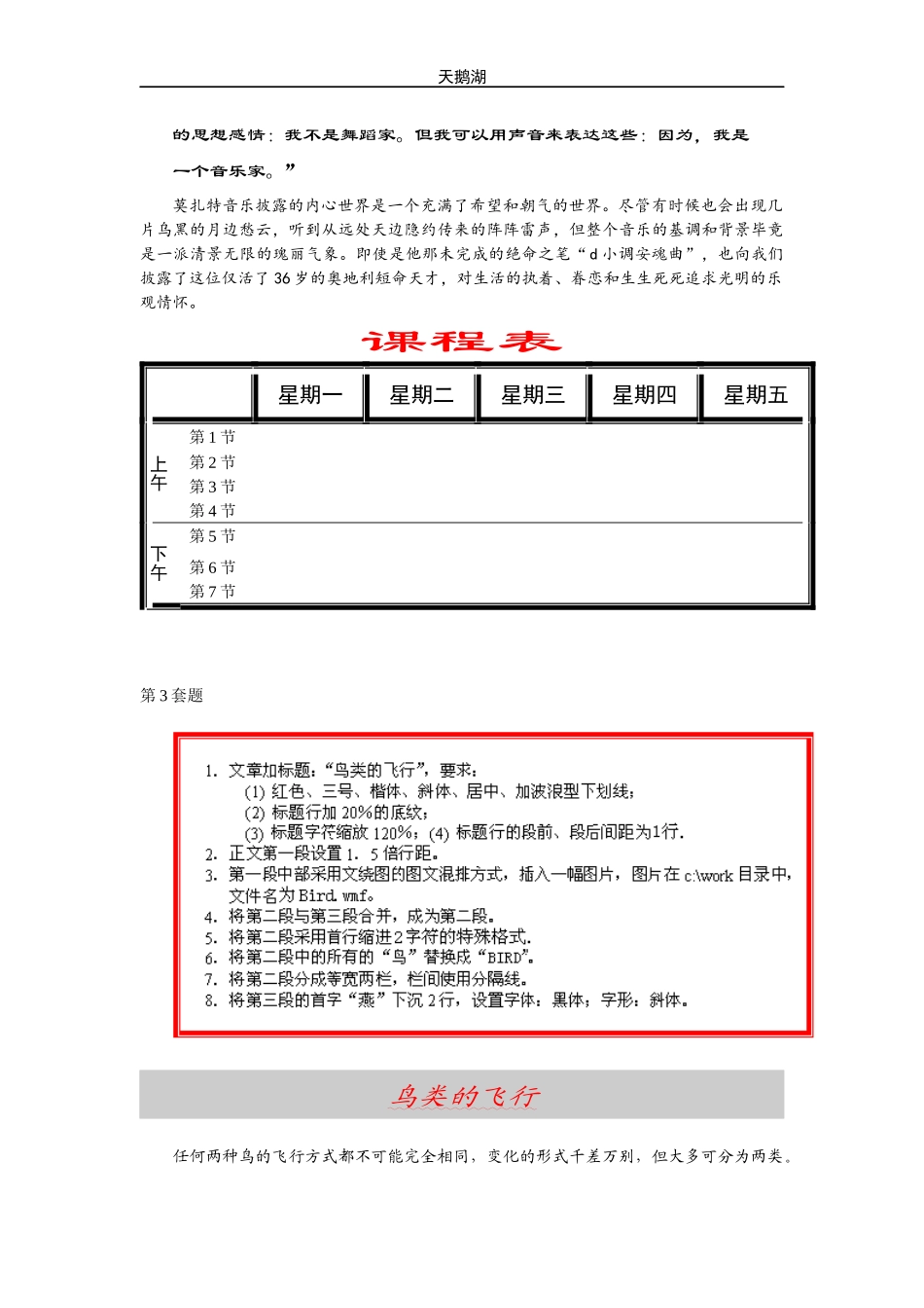 会计电算化考试Word题_第3页