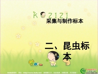 七年级生物采集与制作标本