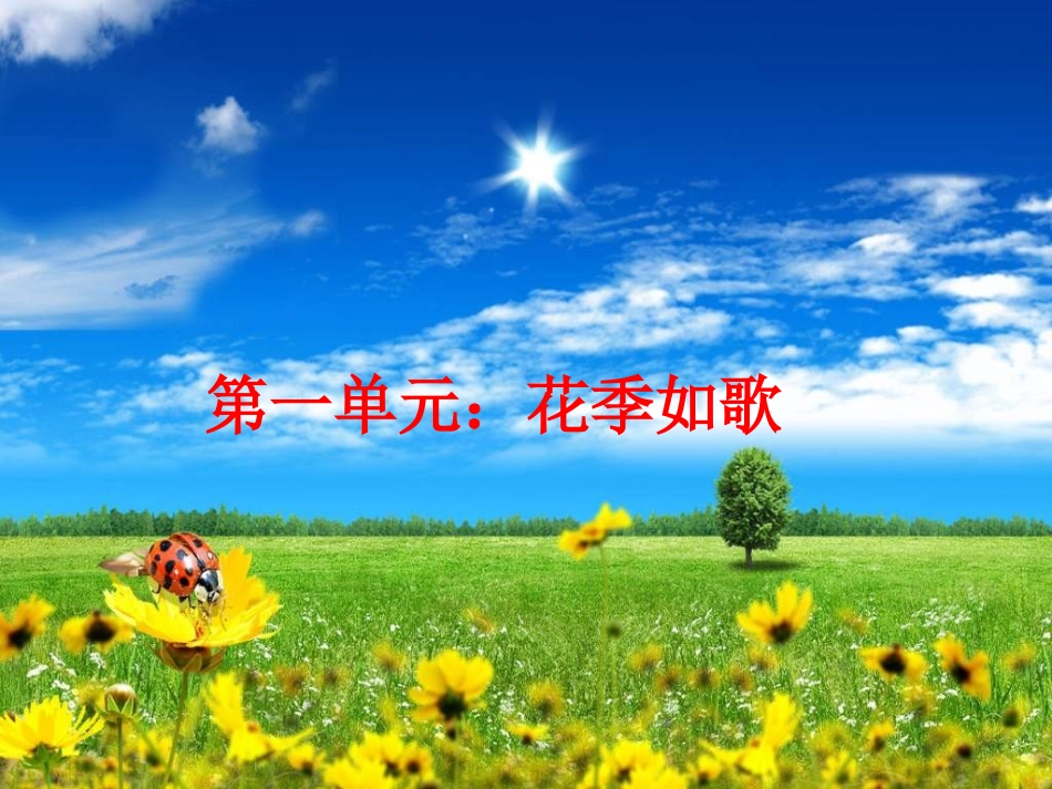 《花季如歌》_第1页
