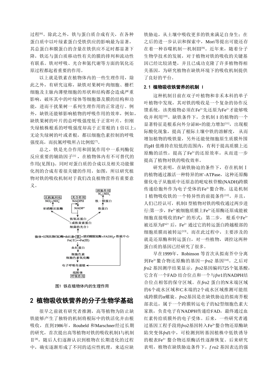 植物铁营养的分子生物学机制研究进展_第3页