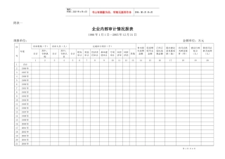 企业内部审计情况报表