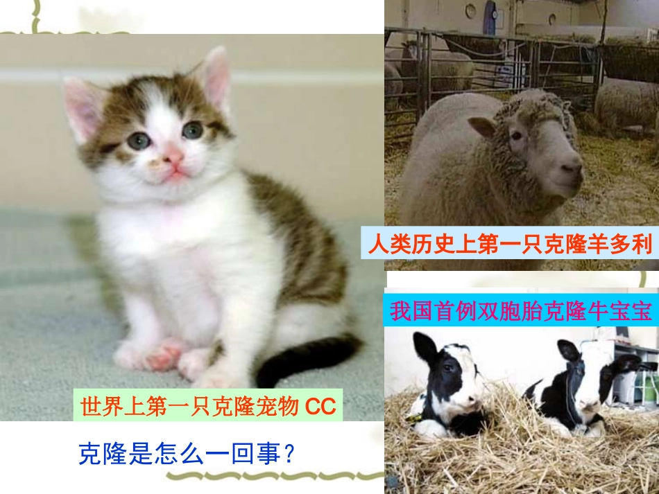 克隆技术的伦理问题2_第2页