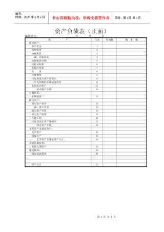 资产负债表（正面）