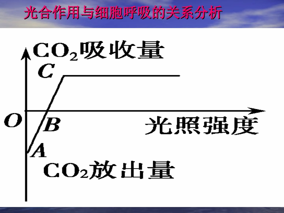 光合与呼吸的典型例题教学课件_第1页