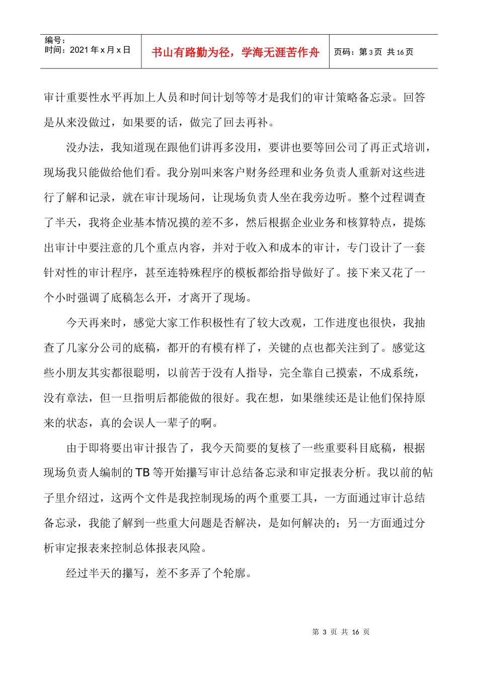 审计外勤日记_第3页