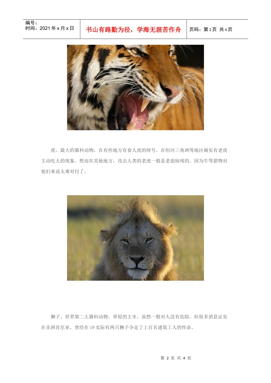 奇闻大观：盘点世界上最凶悍的捕食者！(图)_第2页