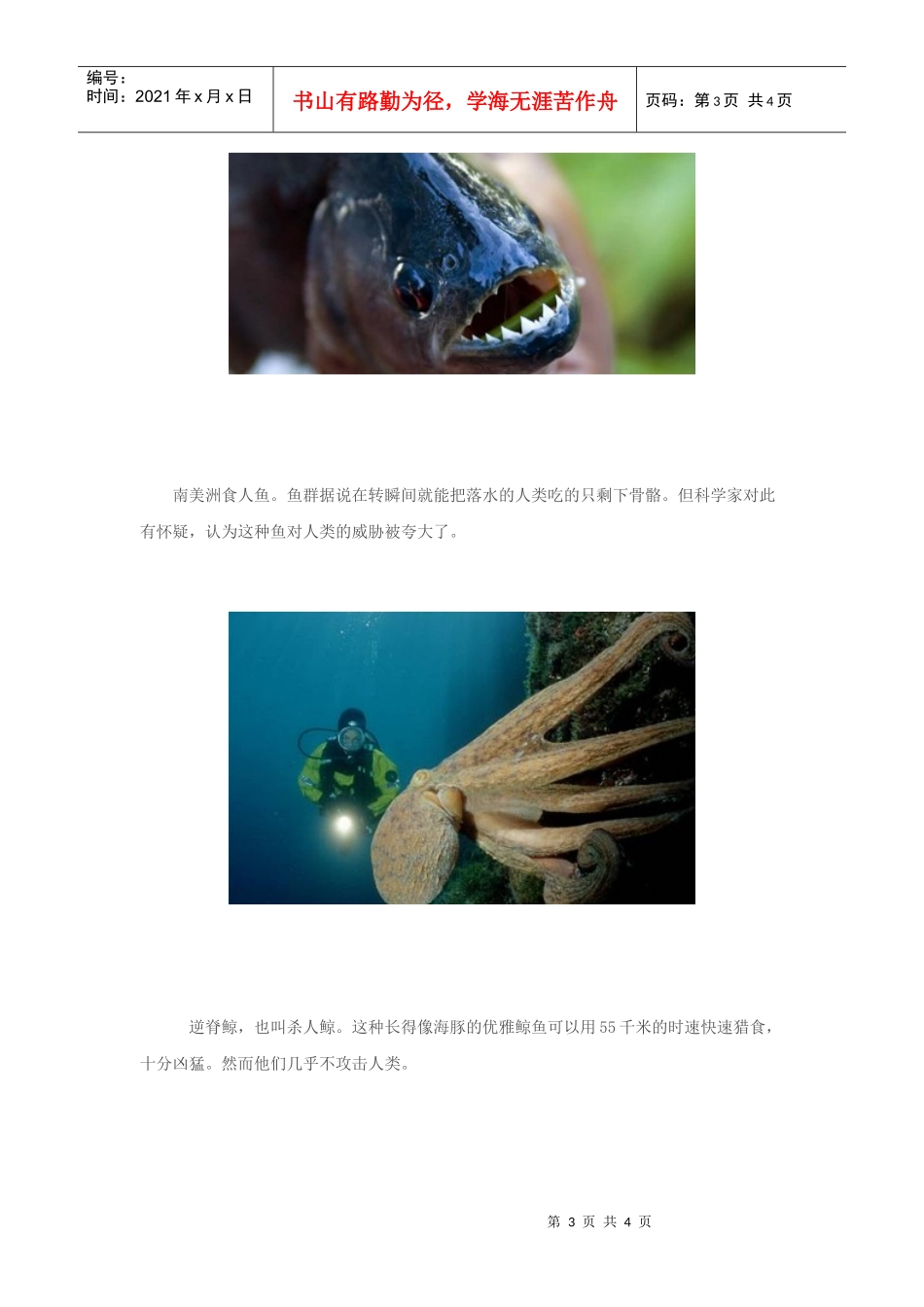 奇闻大观：盘点世界上最凶悍的捕食者！(图)_第3页