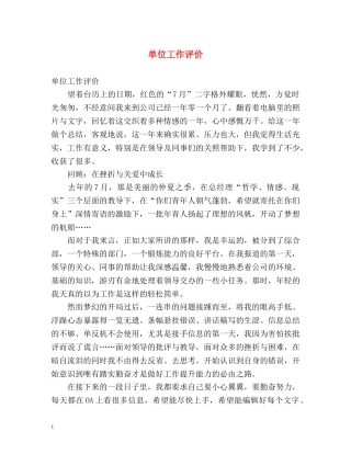 单位工作评价 