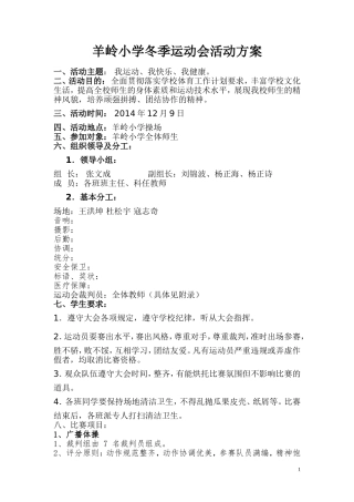 小学2014年冬季运动会活动方案