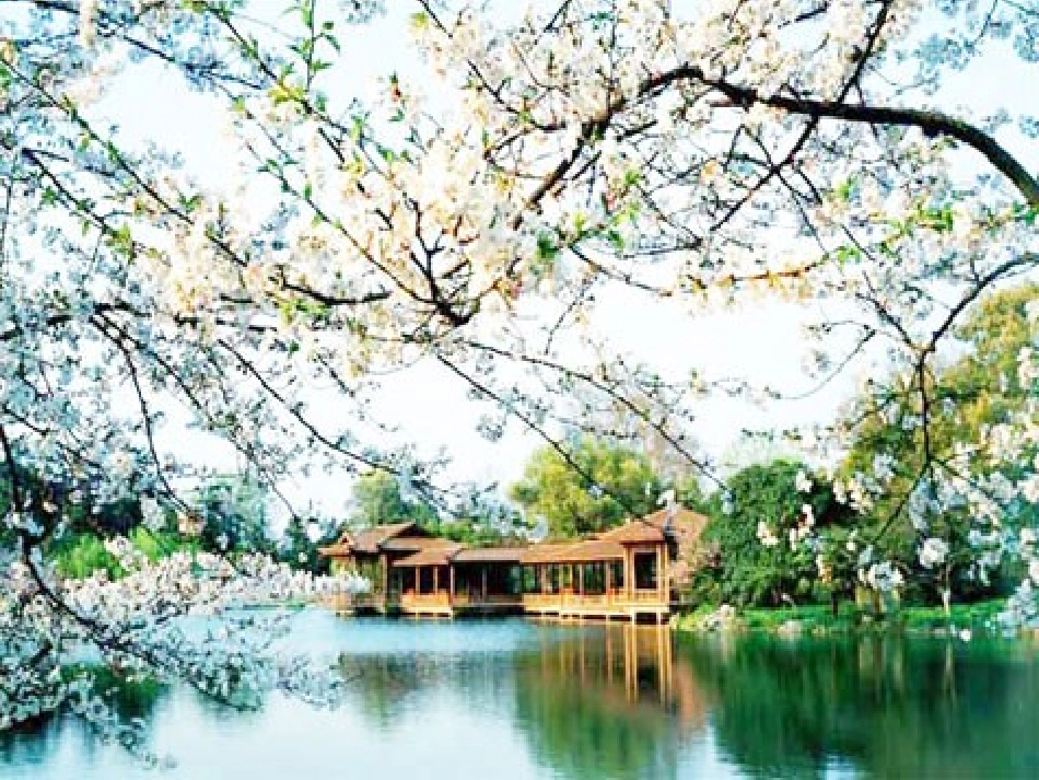 《21、古诗两首》_第2页