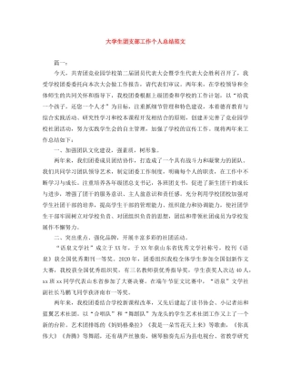 大学生团支部工作个人总结范文 