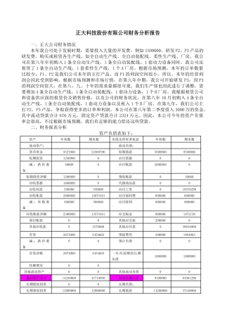 正大科技股份有限公司财务分析报告