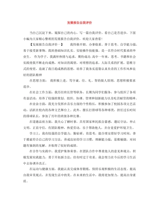发展报告自我评价 