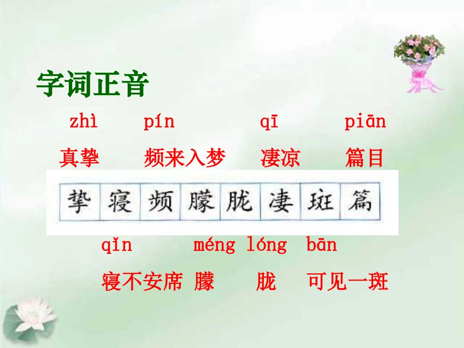 人教版小学语文六年级上册《怀念母亲》PPT课件_第3页