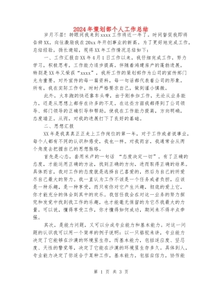 2024年策划部个人工作总结