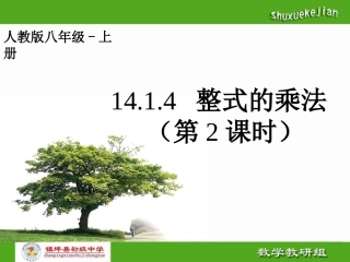 单项式与多项式乘法