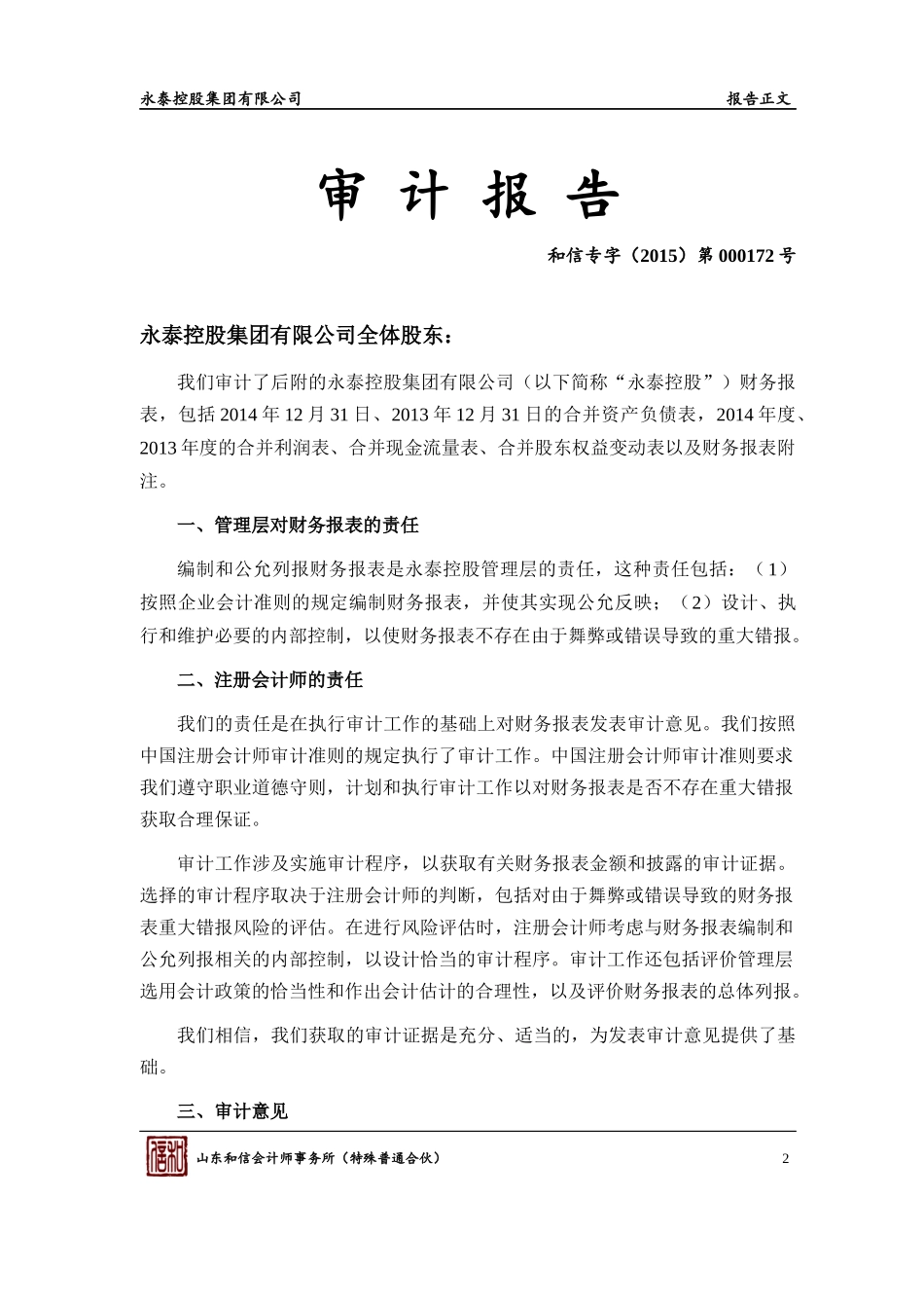 永泰控股14年审计报告_第3页